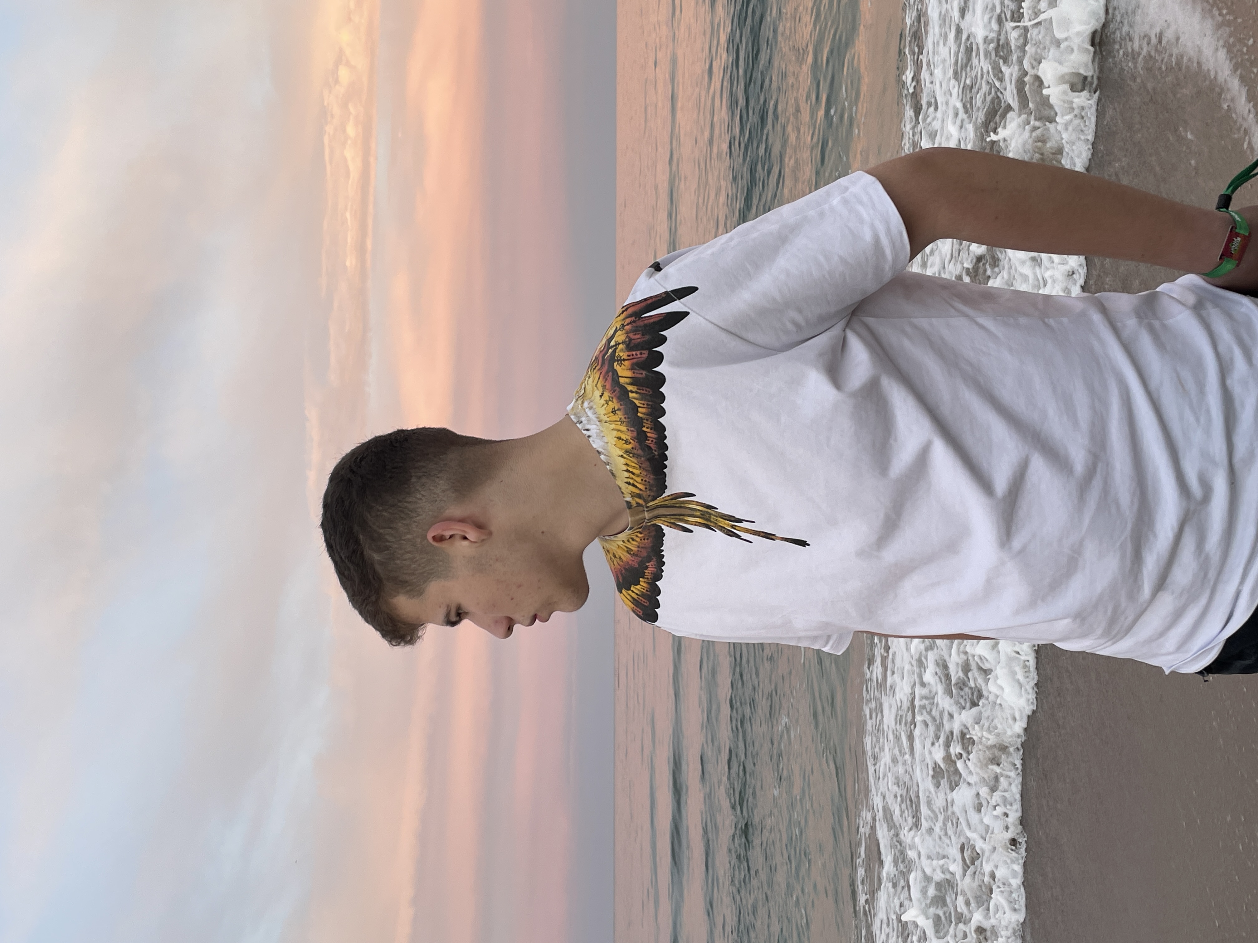 Lascu David