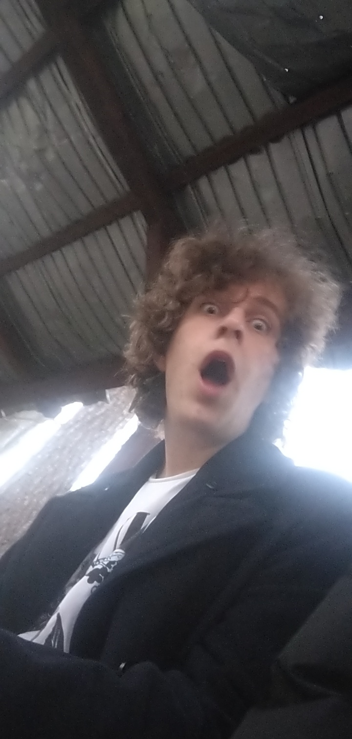 Cipry Haiduc