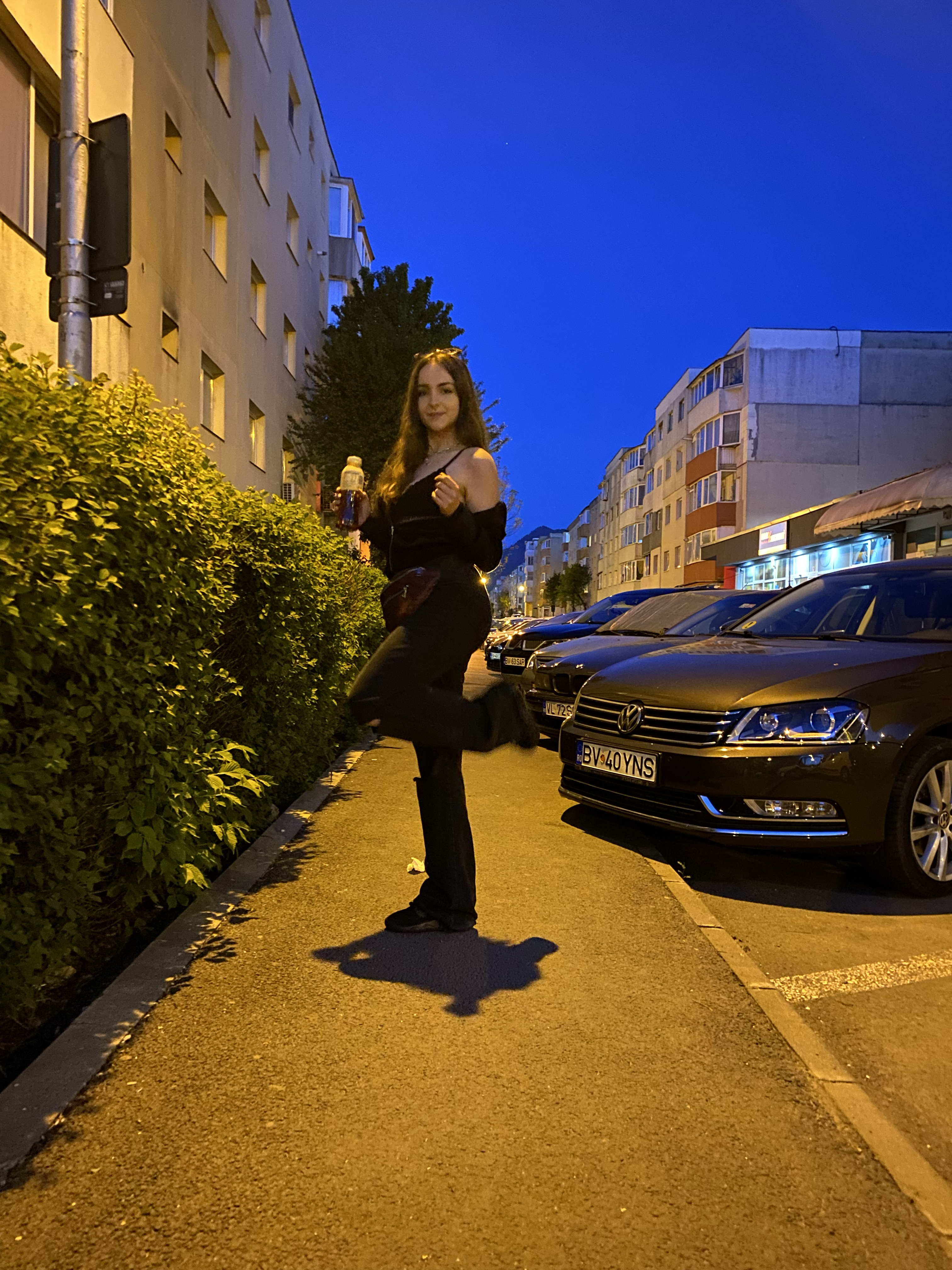 Miciulică Diana Daria